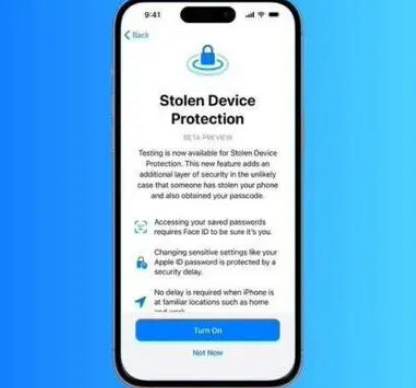 纳雍苹果授权维修店分享被盗设备保护功能开启方法 