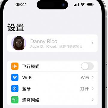 纳雍appleID维修服务iPhone设置中Apple ID显示为灰色无法使用 