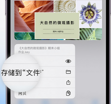 纳雍apple维修中心分享iPhone文件应用中存储和找到下载文件