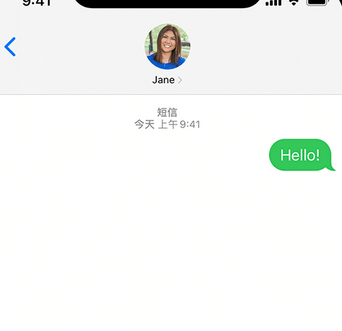 纳雍apple维修iPhone上无法正常发送iMessage信息