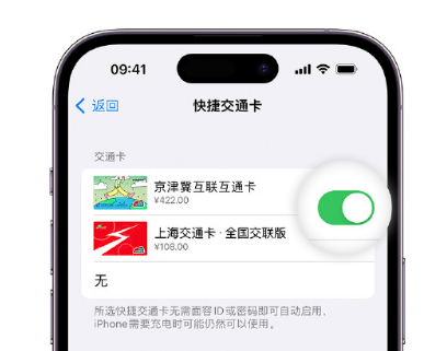 纳雍apple维修点分享iPhone上更换Apple Pay快捷交通卡手绘卡面 