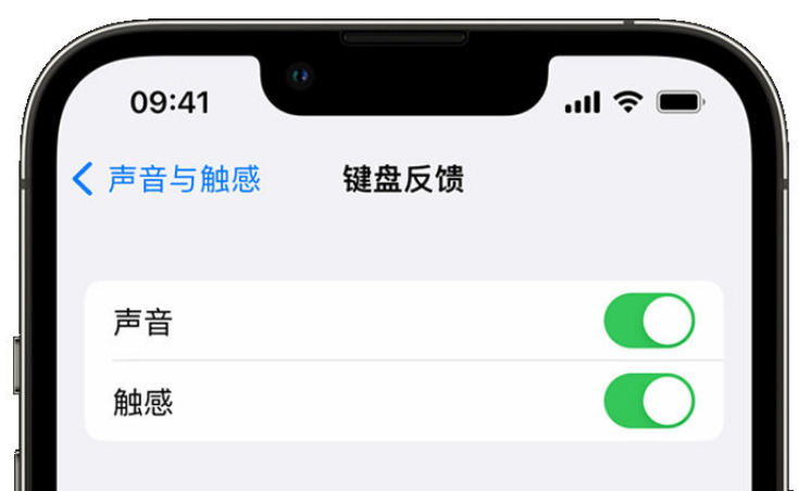 纳雍苹果手机维修分享iPhone 14触感键盘使用方法 