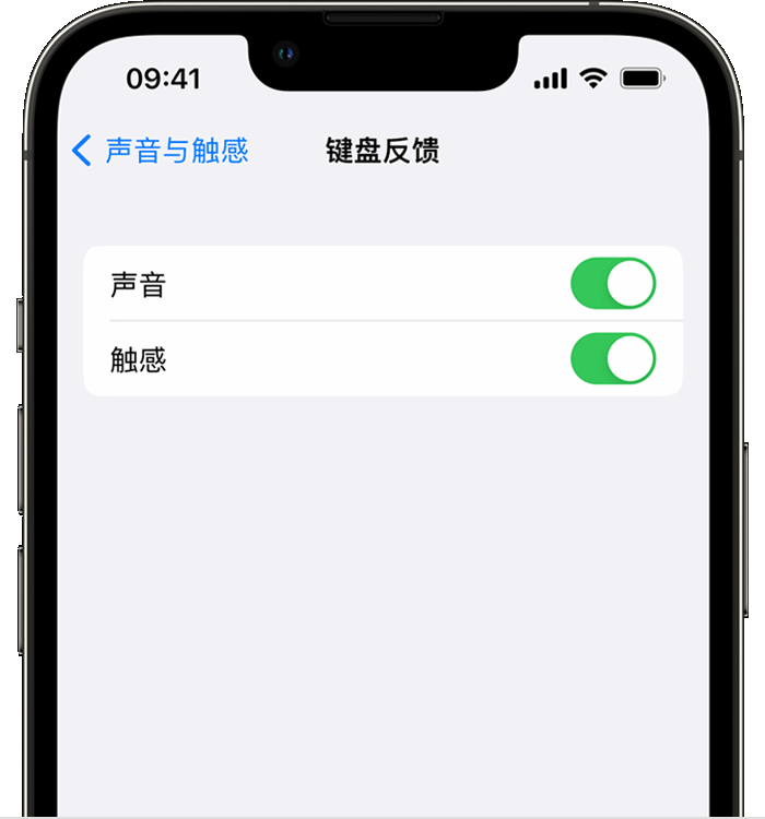 纳雍苹果14维修店分享如何在 iPhone 14 机型中使用触感键盘 