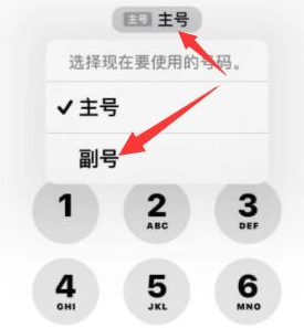 纳雍苹果14维修店分享iPhone 14 Pro Max使用副卡打电话的方法 