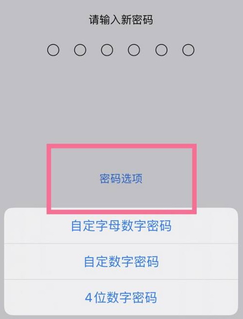 纳雍苹果14维修分享iPhone 14plus设置密码的方法 