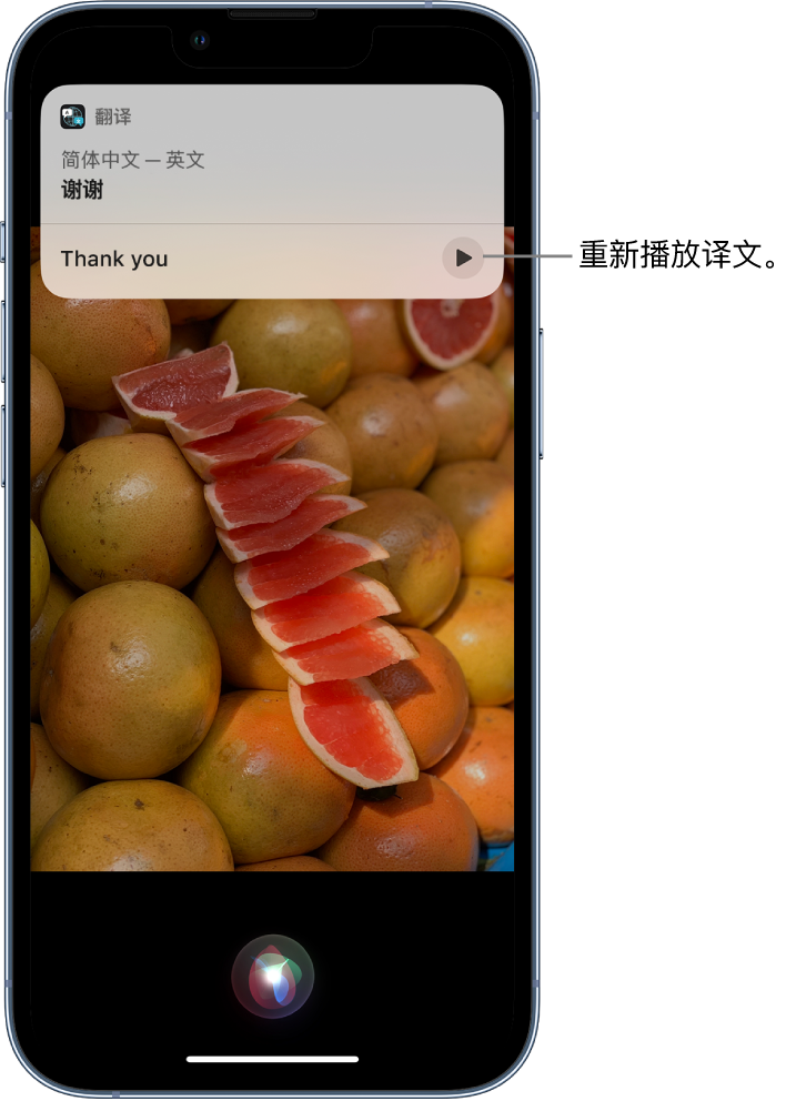 纳雍苹果14维修分享 iPhone 14 机型中使用 Siri：了解 Siri 能帮你做什么 