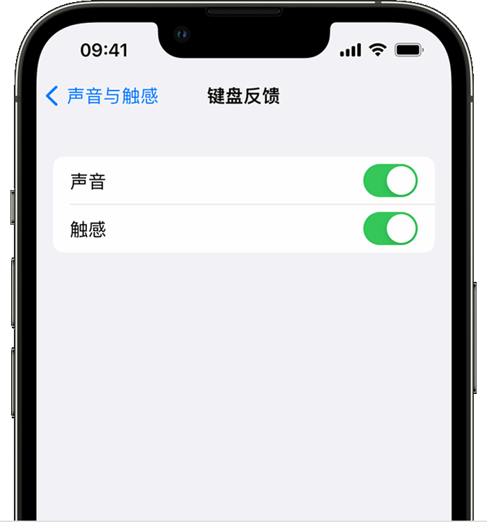 纳雍苹果14维修分享iPhone 14 系列机型如何开启键盘声音或触感反馈 