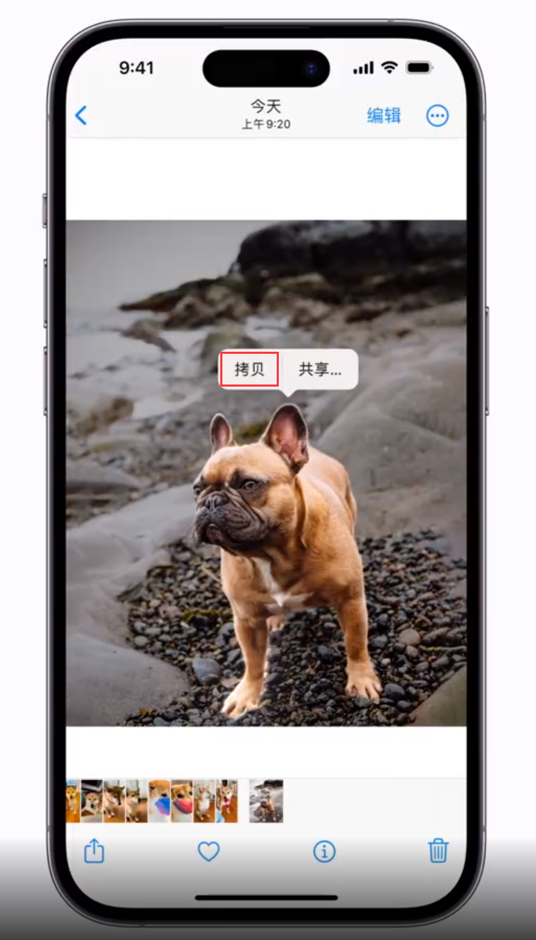 纳雍苹果手机维修分享 iOS 16 自带一键抠图功能 