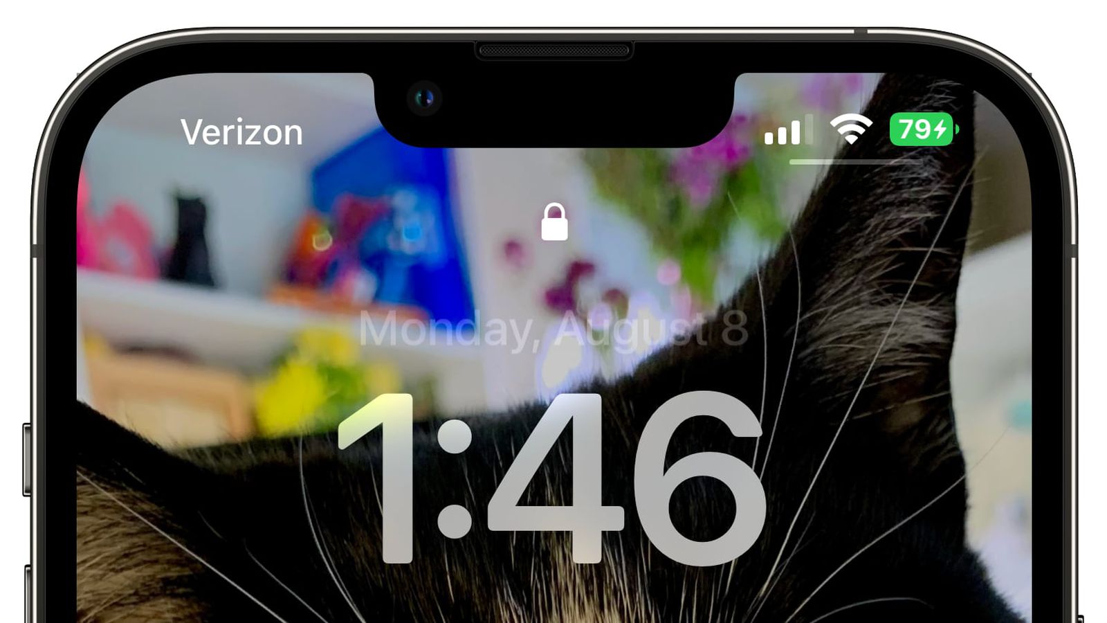纳雍苹果手机维修分享iOS 16 beta 5 支持状态栏显示电池百分比，如何开启？支持哪些机型 