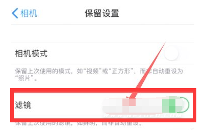 纳雍苹果13维修分享iPhone13拍照有绿点是怎么回事 