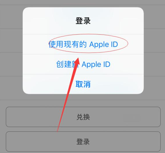 纳雍苹果手机维修分享两台iPhone设备可以同时登录一个Apple ID吗 