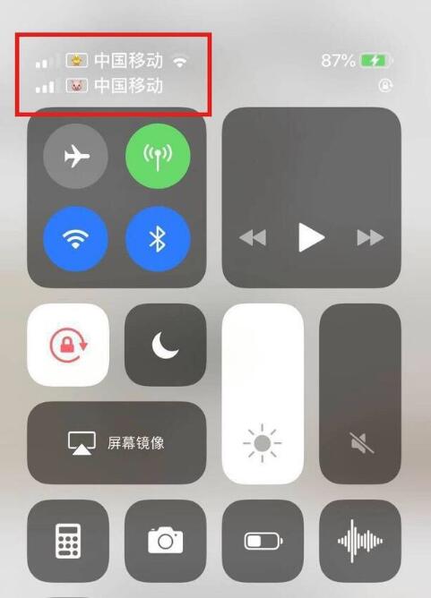纳雍苹果手机维修分享为 iPhone 12 双卡设置标签 